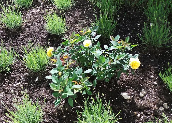 Yeti Lux - Art 아파트 *