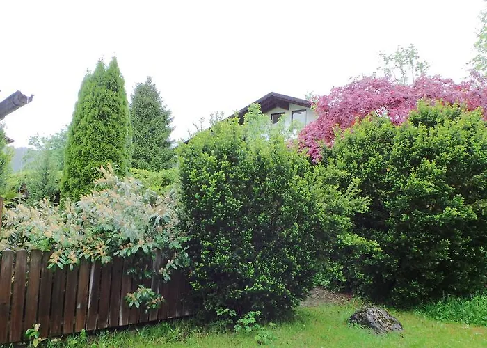 Yeti Lux - Art 가르미슈파르텐키르헨